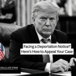 Najla Law Firm legal consultation documents showing key steps to appeal a deportation order in the US.